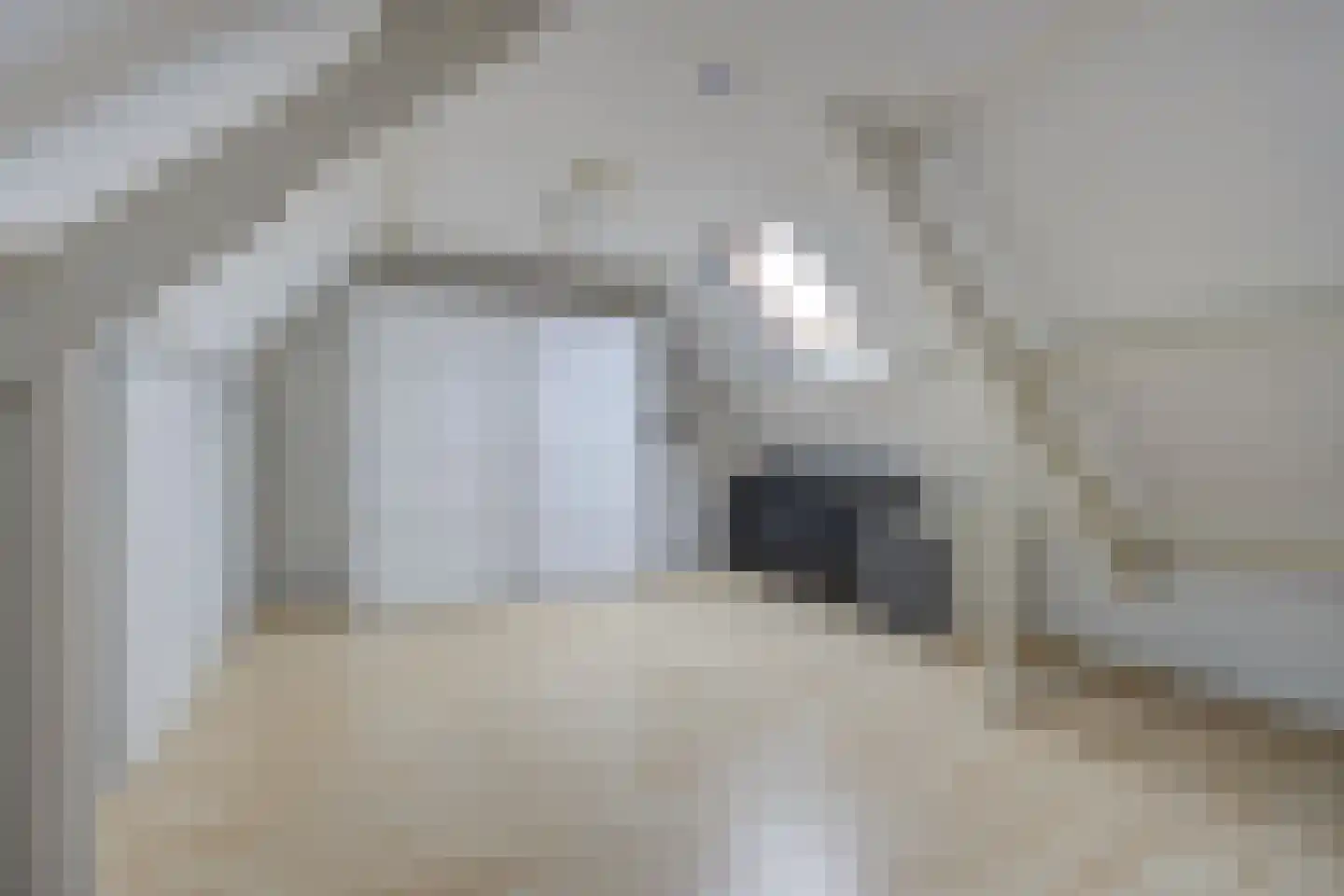 Zilvermeeuw 33 Etten-Leur thumbnail 34