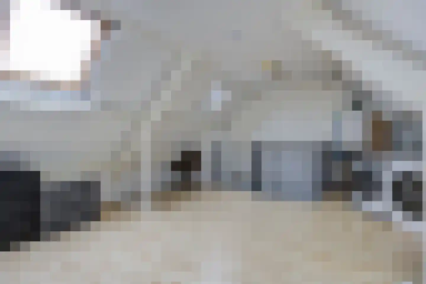 Zilvermeeuw 33 Etten-Leur thumbnail 35