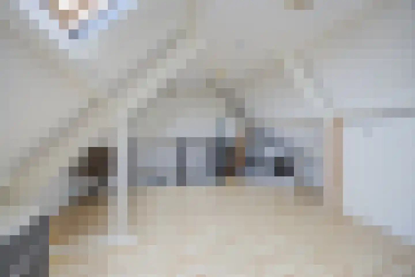 Zilvermeeuw 33 Etten-Leur thumbnail 36