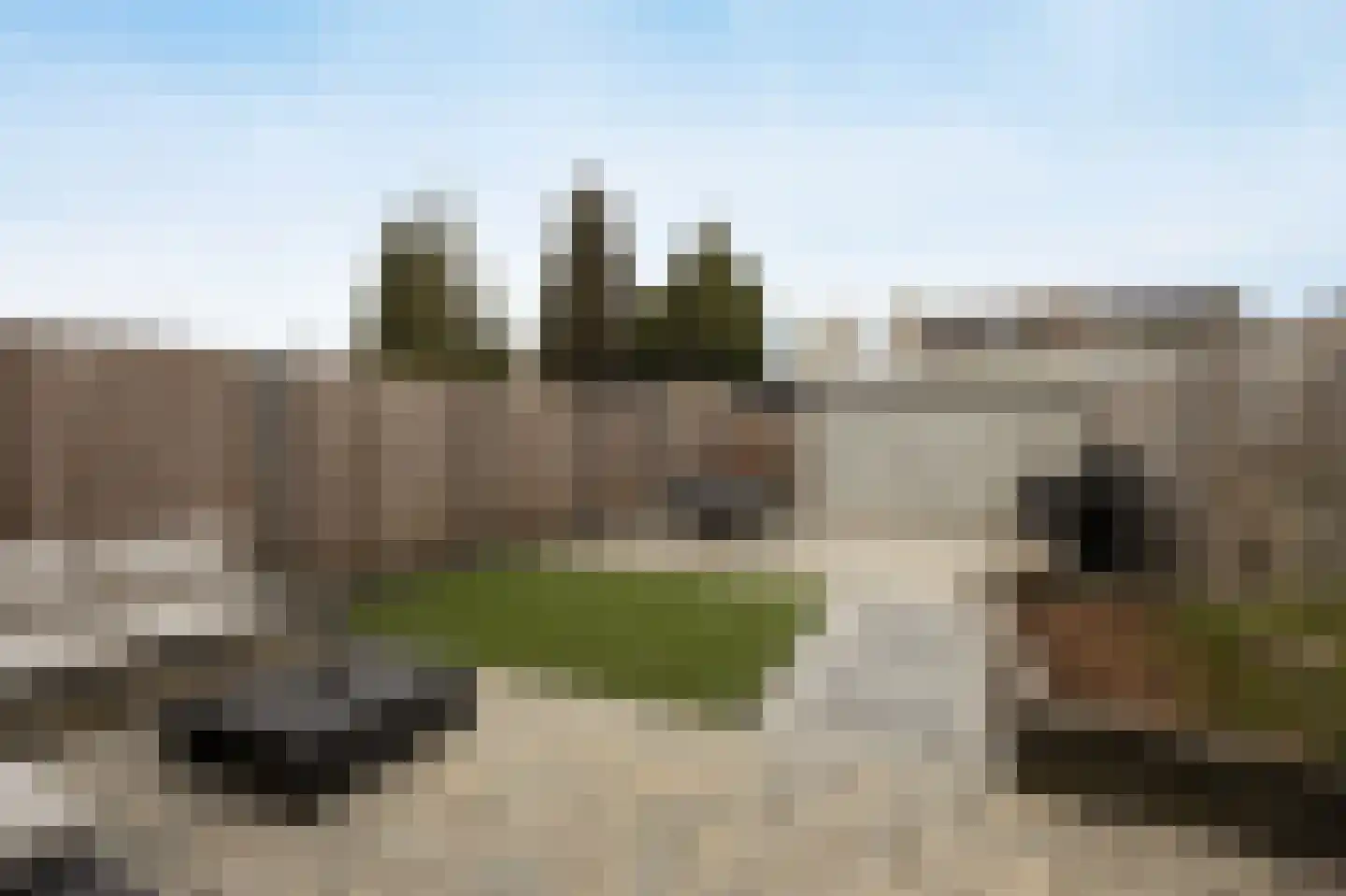 Zilvermeeuw 33 Etten-Leur thumbnail 37