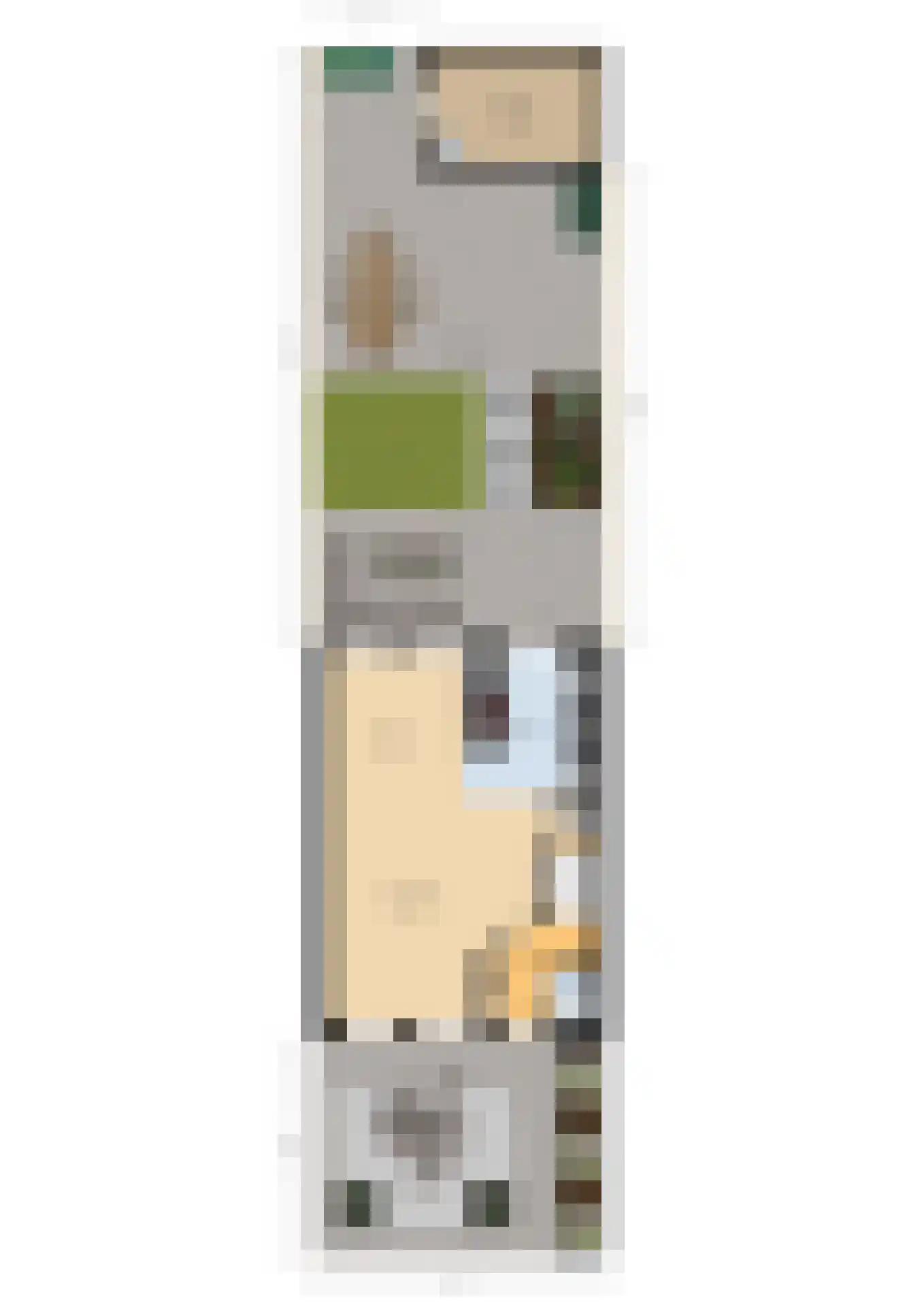 Zilvermeeuw 33 Etten-Leur thumbnail 50