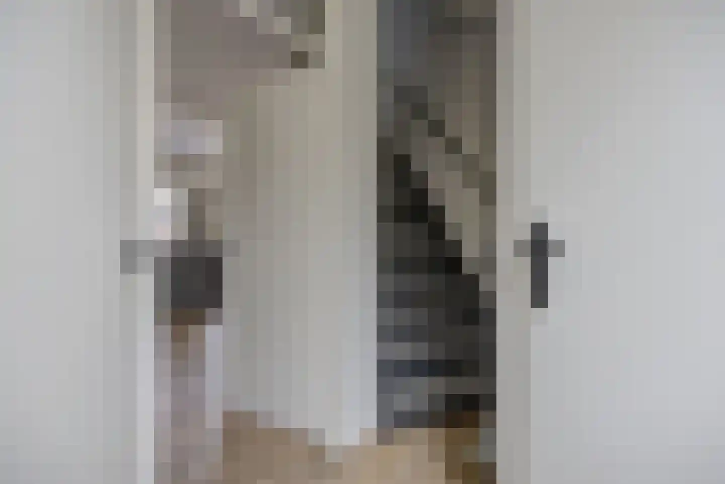 Zilvermeeuw 33 Etten-Leur thumbnail 7