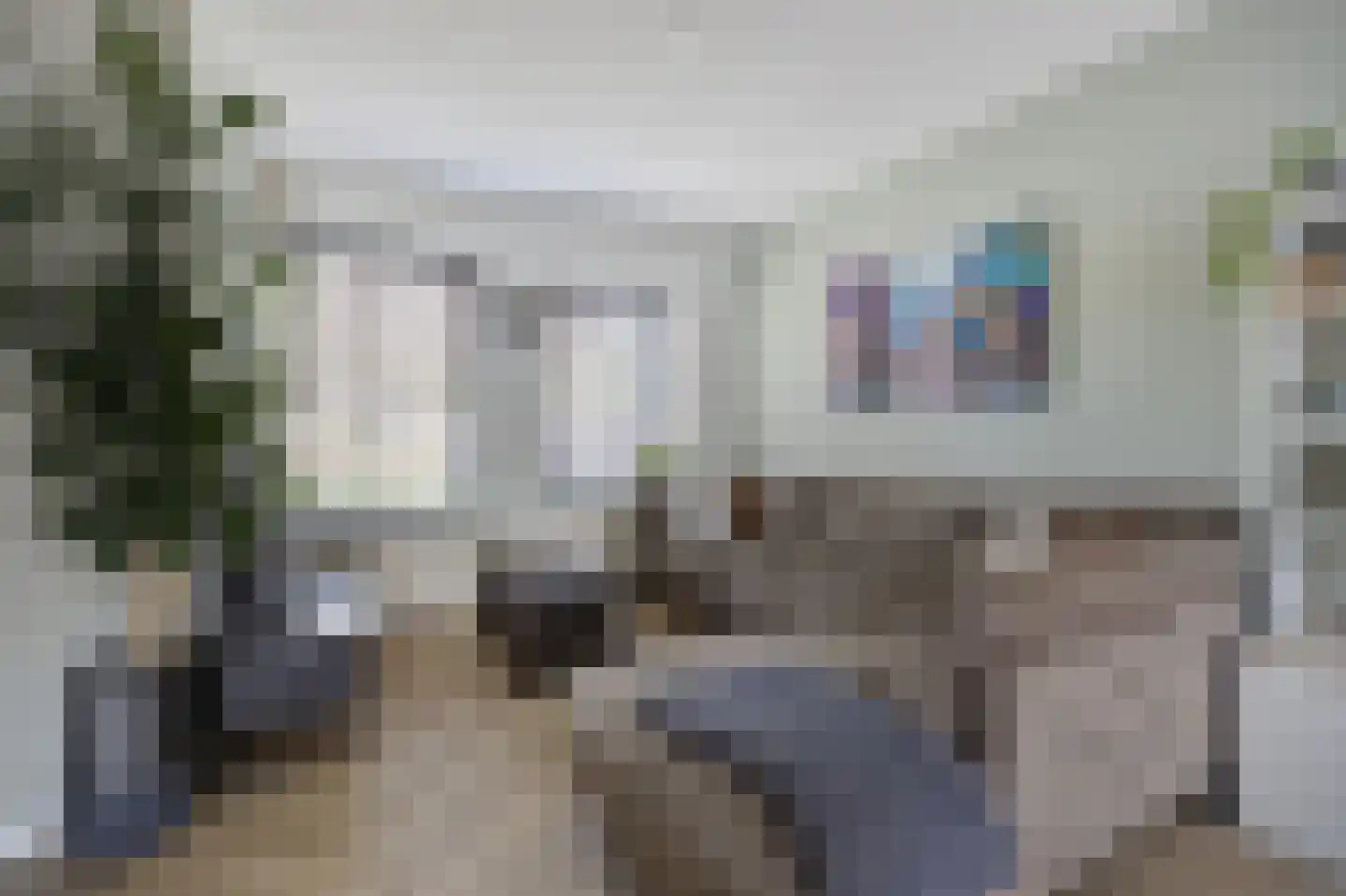 Zilvermeeuw 33 Etten-Leur thumbnail 8
