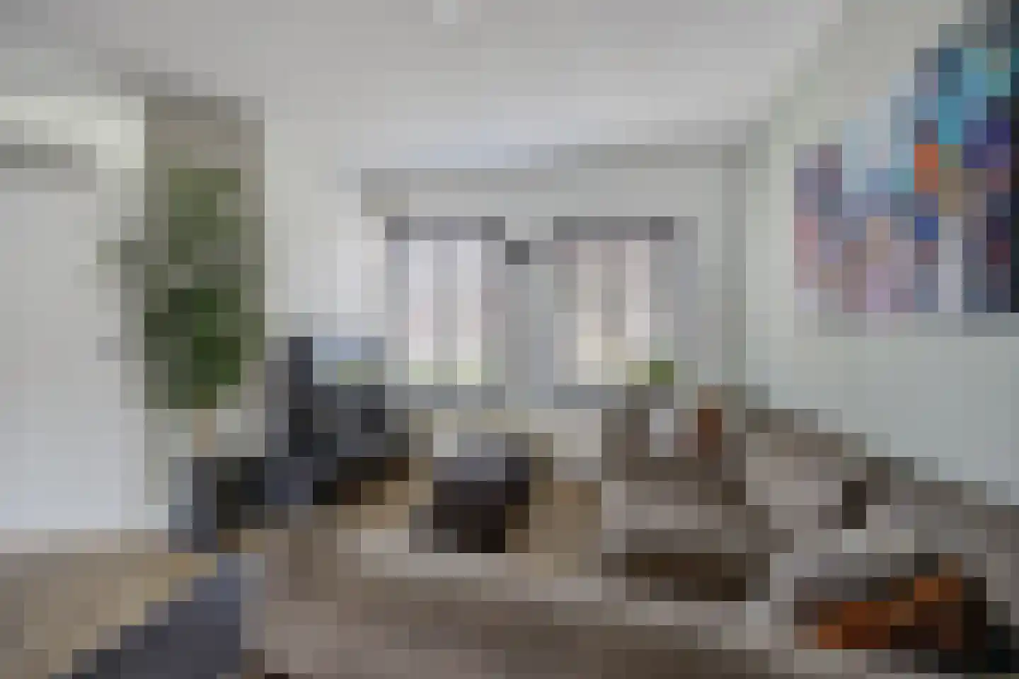 Zilvermeeuw 33 Etten-Leur thumbnail 9
