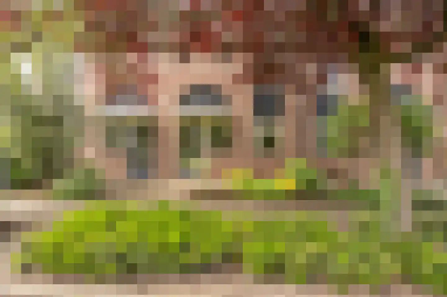 Zilvermeeuw 34 Oud-Beijerland