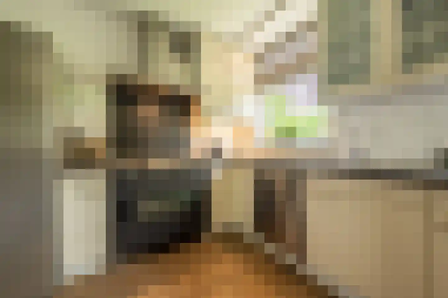 Zilvermeeuw 34 Oud-Beijerland thumbnail 17