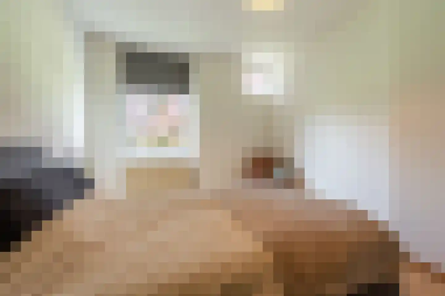 Zilvermeeuw 34 Oud-Beijerland thumbnail 31