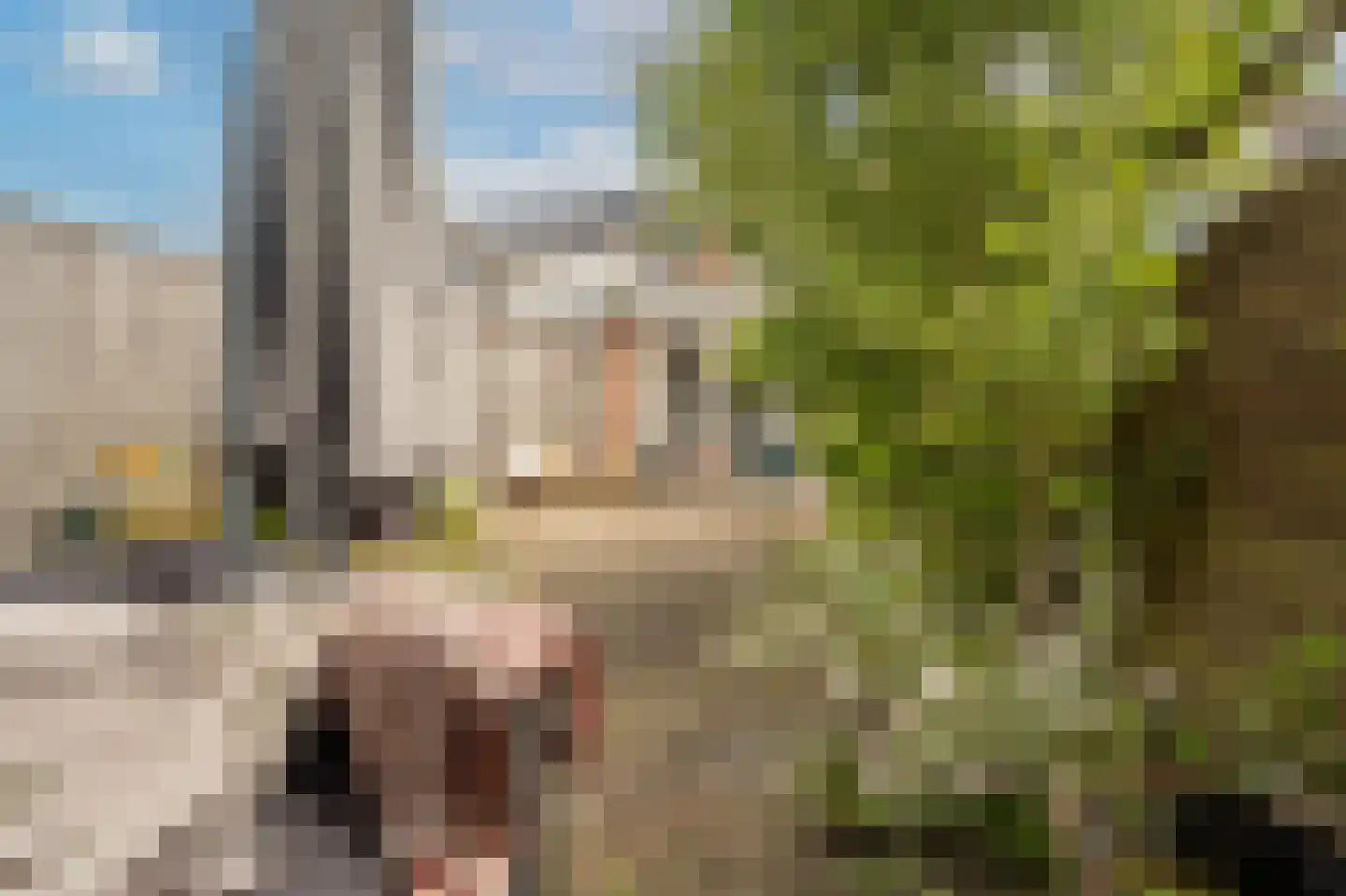 Zilvermeeuw 34 Oud-Beijerland thumbnail 38