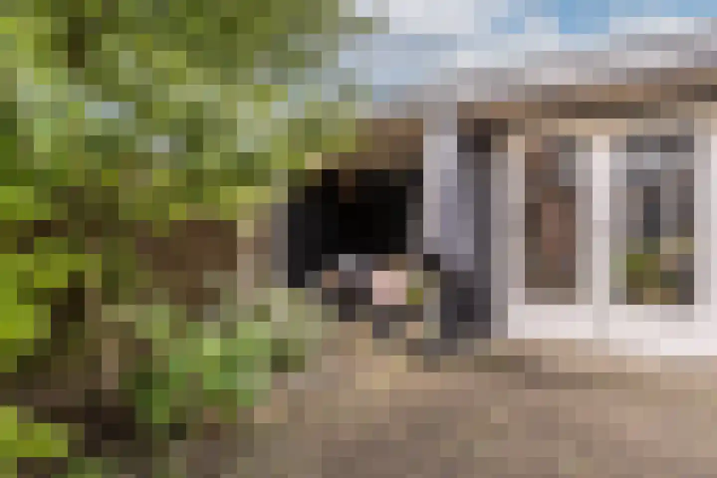 Zilvermeeuw 34 Oud-Beijerland thumbnail 39