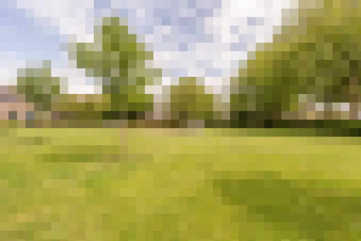 Zilvermeeuw 34 Oud-Beijerland thumbnail 42