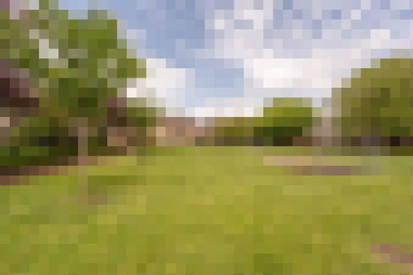 Zilvermeeuw 34 Oud-Beijerland thumbnail 43
