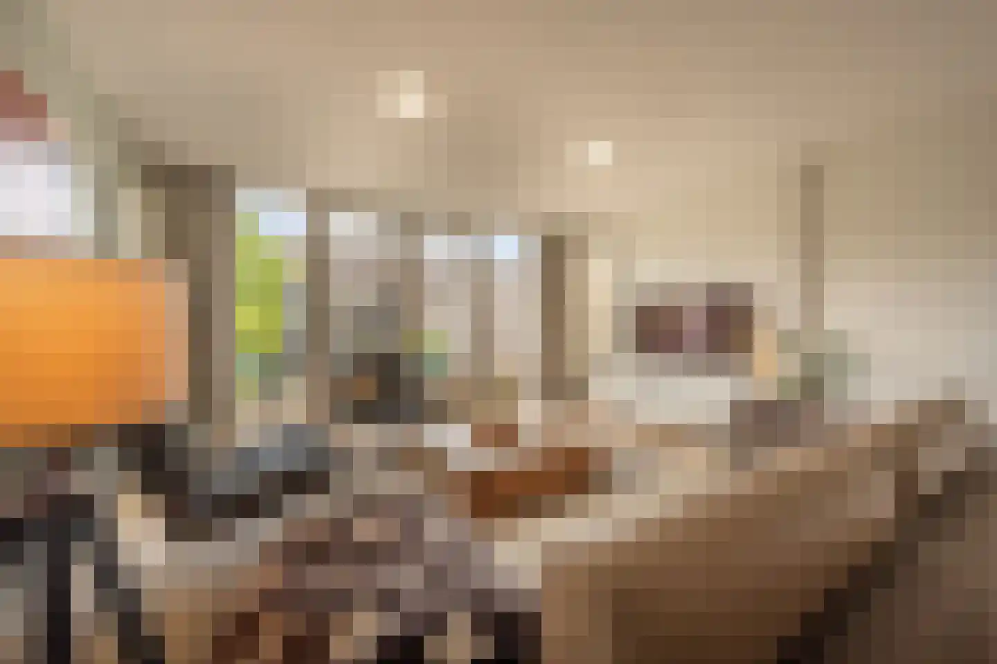 Zilvermeeuw 34 Oud-Beijerland thumbnail 6