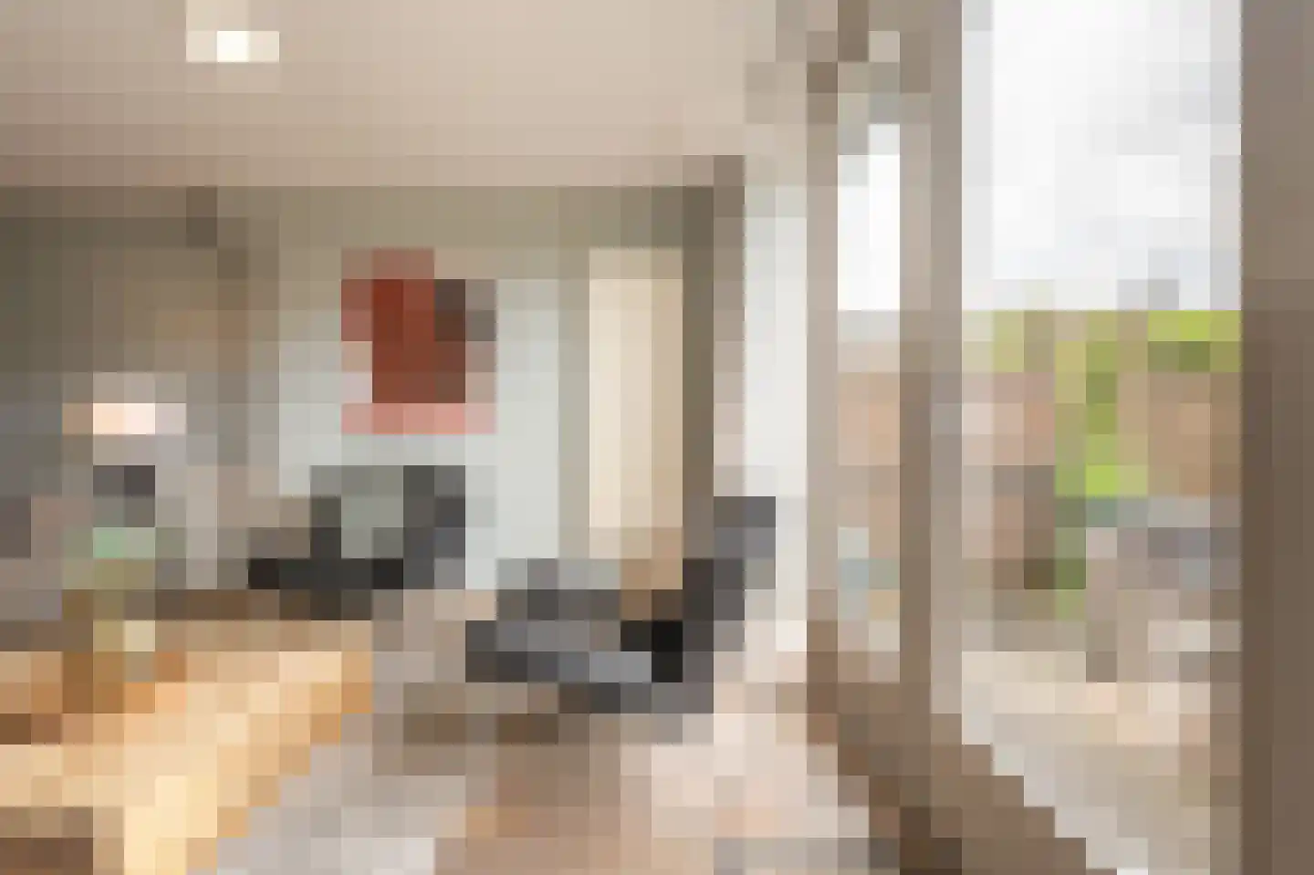 Zilvermeeuw 34 Oud-Beijerland thumbnail 9