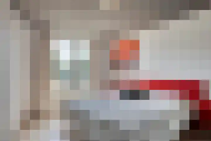 Zilvermeeuw 34 Zoutelande thumbnail 10