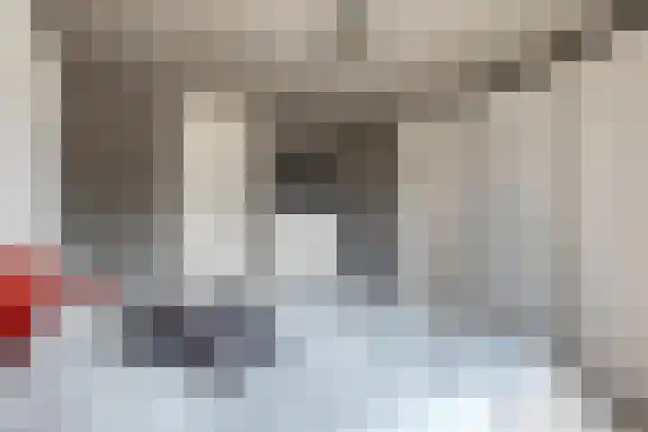 Zilvermeeuw 34 Zoutelande thumbnail 11