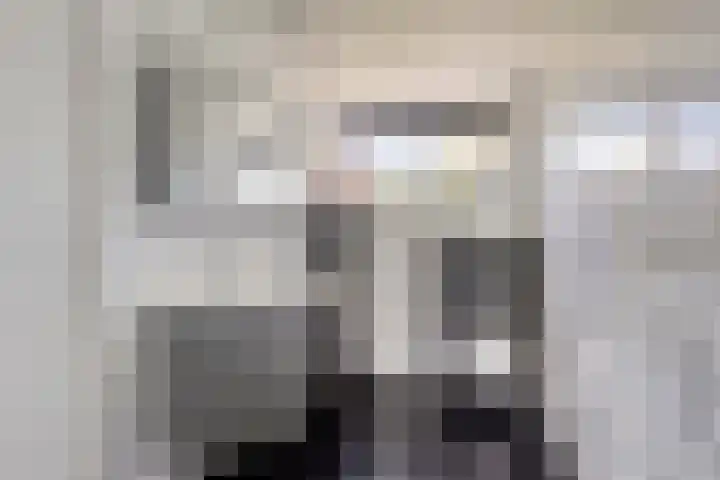 Zilvermeeuw 34 Zoutelande thumbnail 12