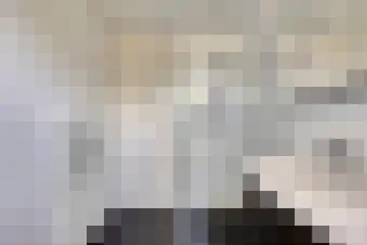 Zilvermeeuw 34 Zoutelande thumbnail 13