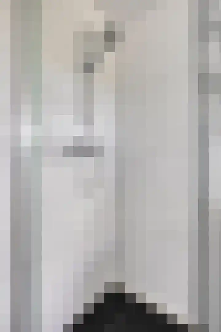 Zilvermeeuw 34 Zoutelande thumbnail 14