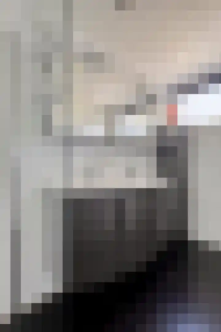 Zilvermeeuw 34 Zoutelande thumbnail 15