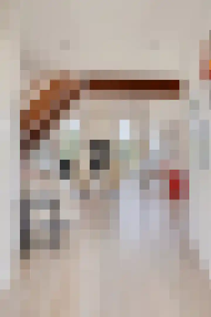 Zilvermeeuw 34 Zoutelande thumbnail 16