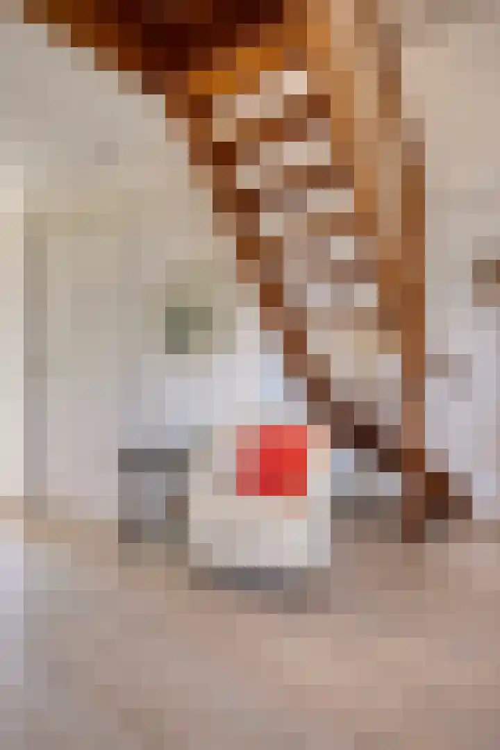 Zilvermeeuw 34 Zoutelande thumbnail 17
