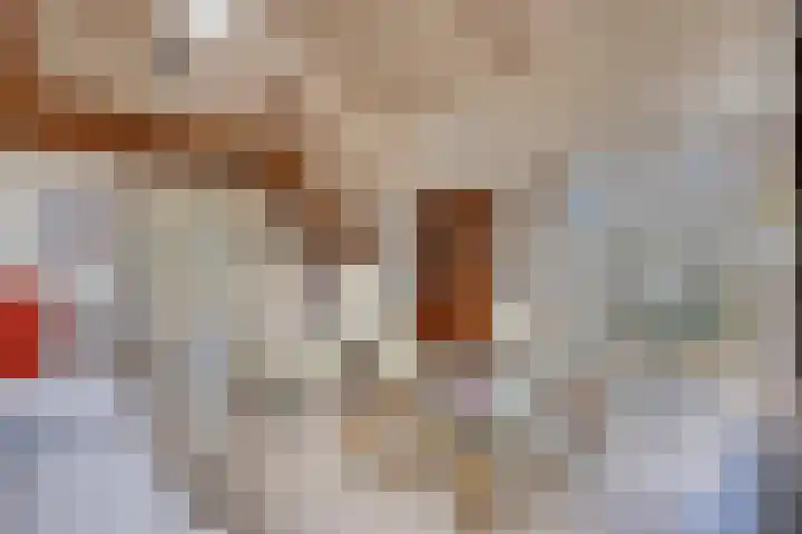 Zilvermeeuw 34 Zoutelande thumbnail 19