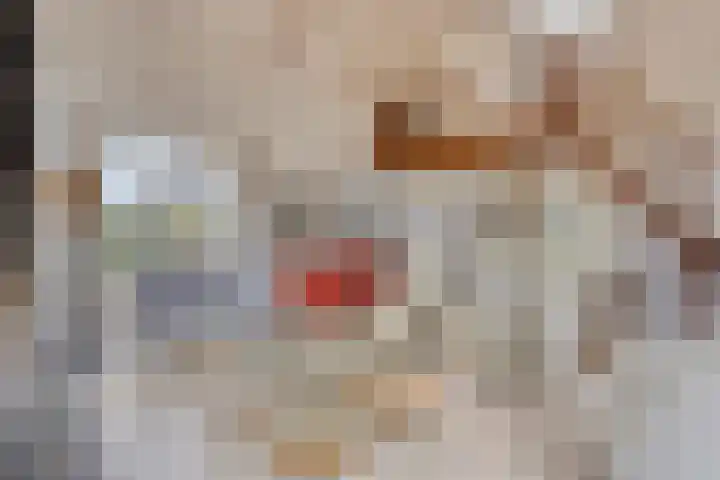 Zilvermeeuw 34 Zoutelande thumbnail 20