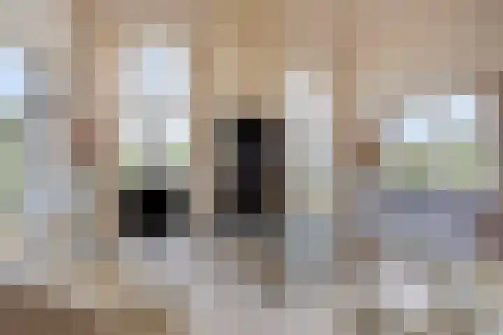 Zilvermeeuw 34 Zoutelande thumbnail 21