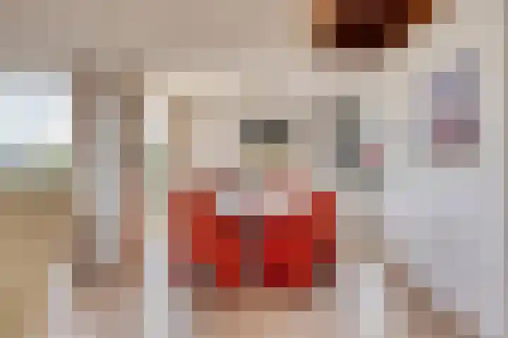 Zilvermeeuw 34 Zoutelande thumbnail 23