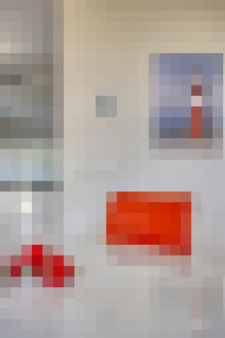 Zilvermeeuw 34 Zoutelande thumbnail 25