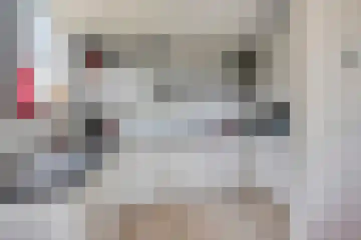 Zilvermeeuw 34 Zoutelande thumbnail 26