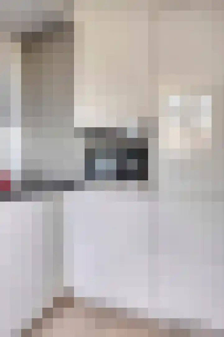 Zilvermeeuw 34 Zoutelande thumbnail 27