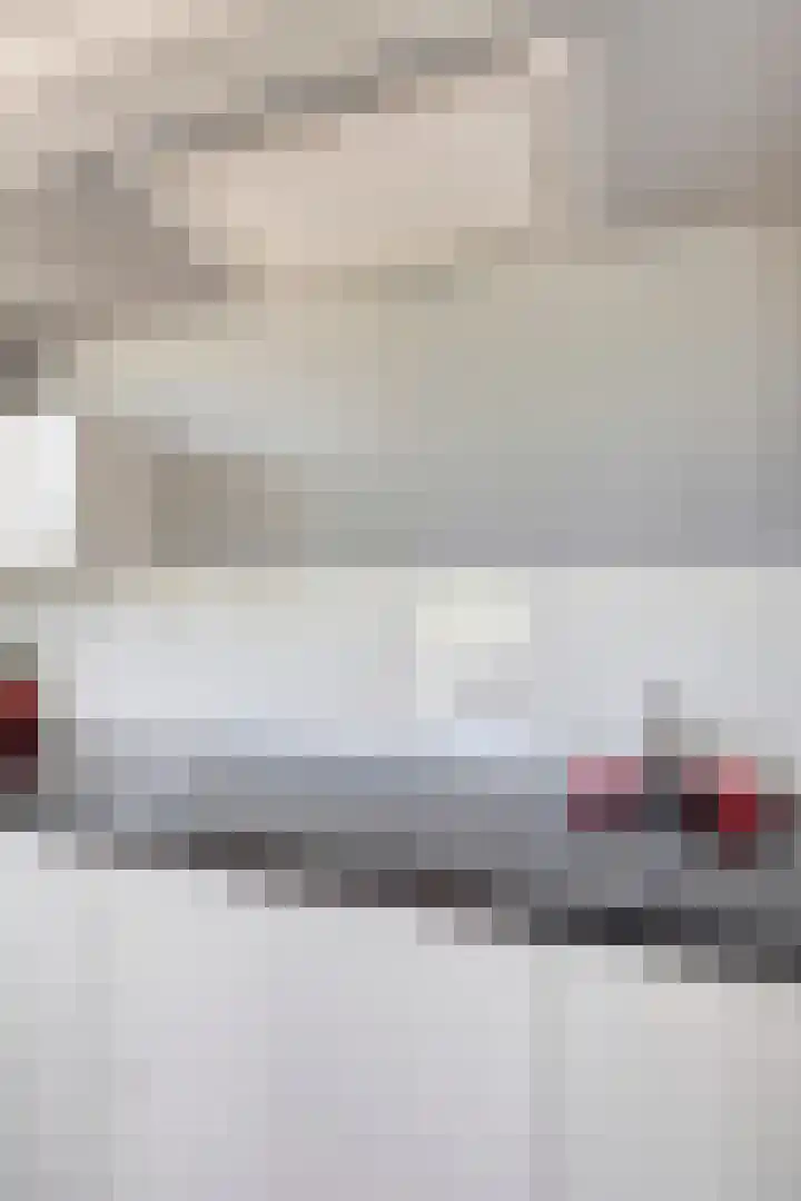 Zilvermeeuw 34 Zoutelande thumbnail 28