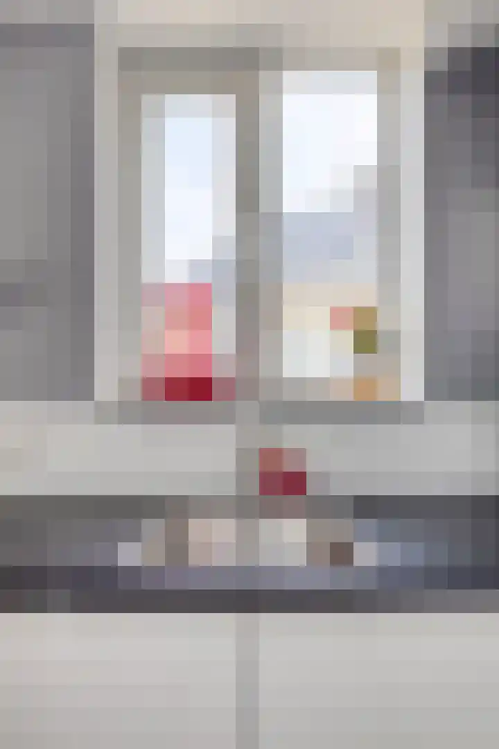 Zilvermeeuw 34 Zoutelande thumbnail 29