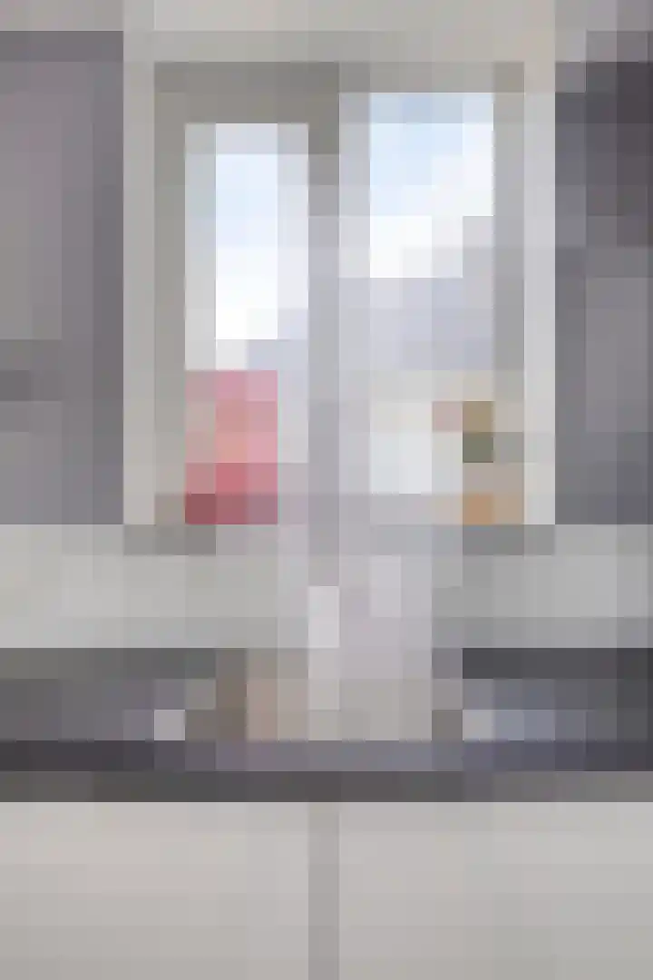 Zilvermeeuw 34 Zoutelande thumbnail 30