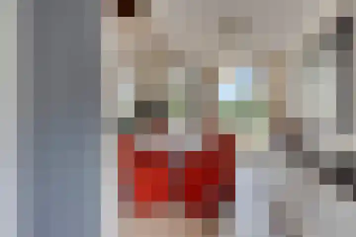 Zilvermeeuw 34 Zoutelande thumbnail 31