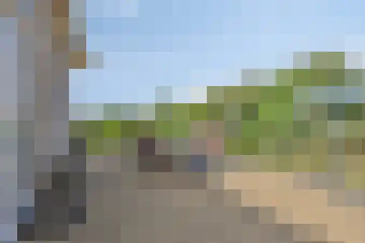 Zilvermeeuw 34 Zoutelande thumbnail 32