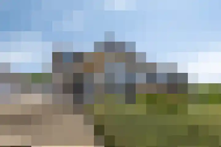 Zilvermeeuw 34 Zoutelande thumbnail 34