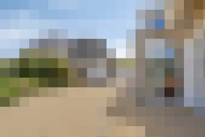Zilvermeeuw 34 Zoutelande thumbnail 36