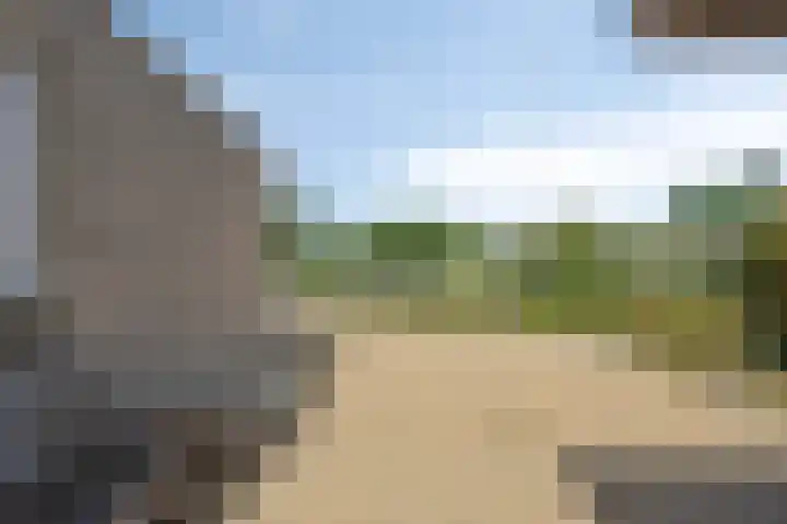 Zilvermeeuw 34 Zoutelande thumbnail 37