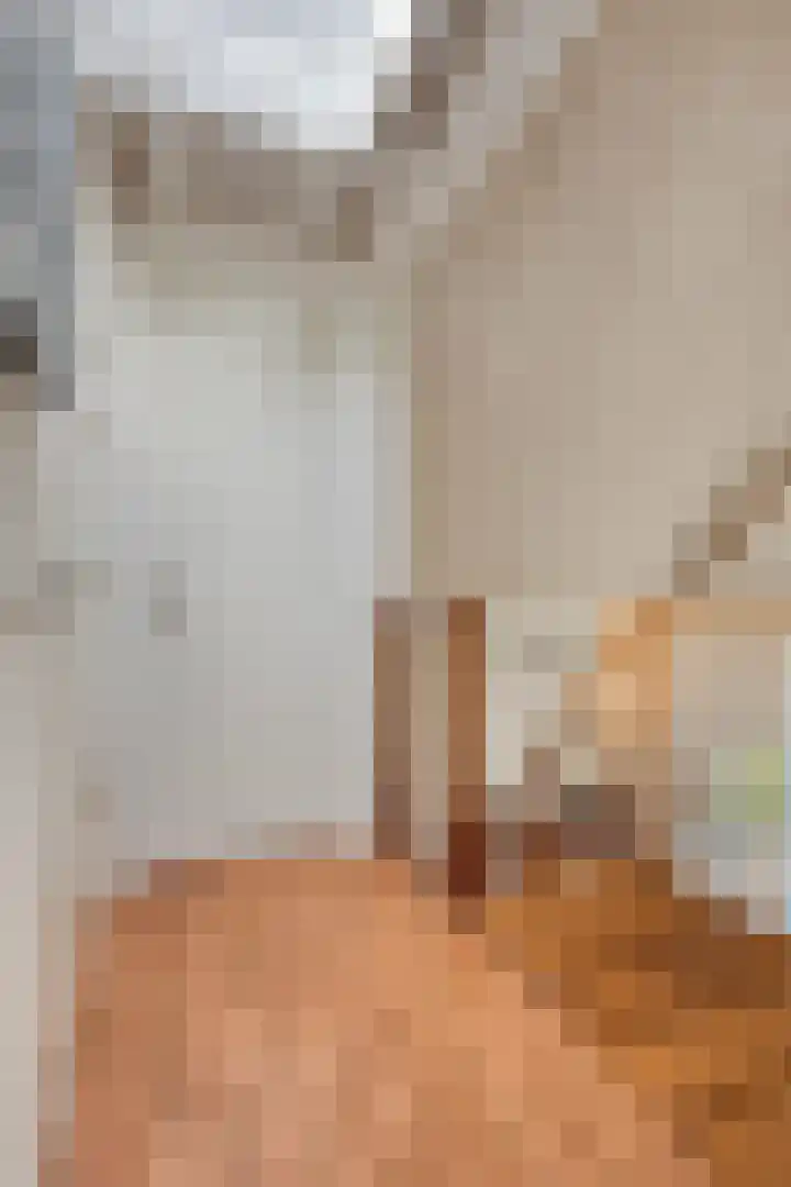 Zilvermeeuw 34 Zoutelande thumbnail 38