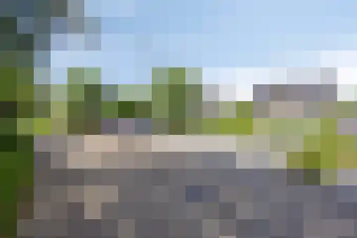 Zilvermeeuw 34 Zoutelande thumbnail 4