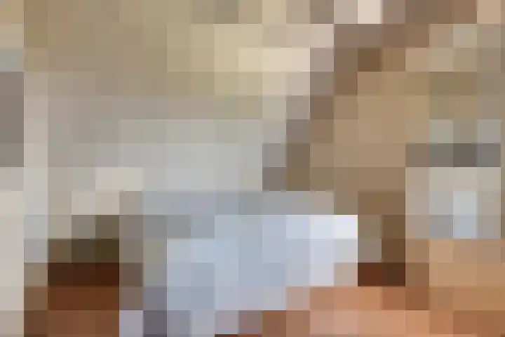 Zilvermeeuw 34 Zoutelande thumbnail 40