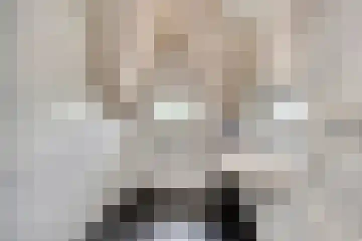 Zilvermeeuw 34 Zoutelande thumbnail 42