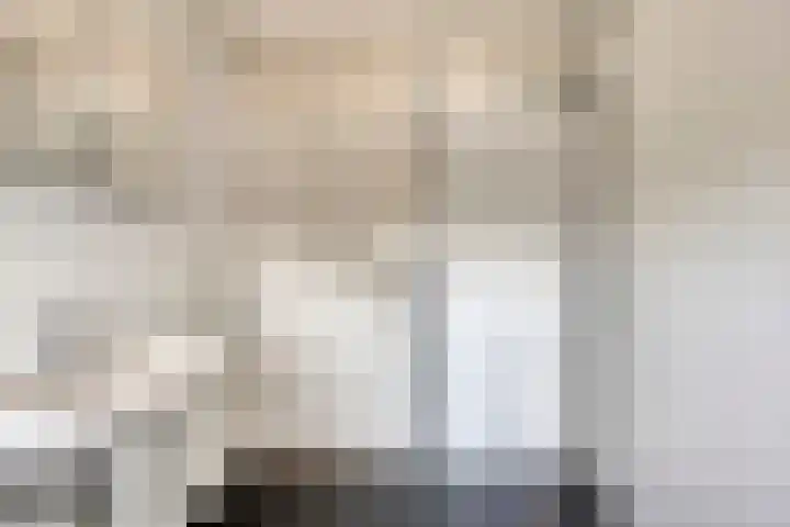 Zilvermeeuw 34 Zoutelande thumbnail 43
