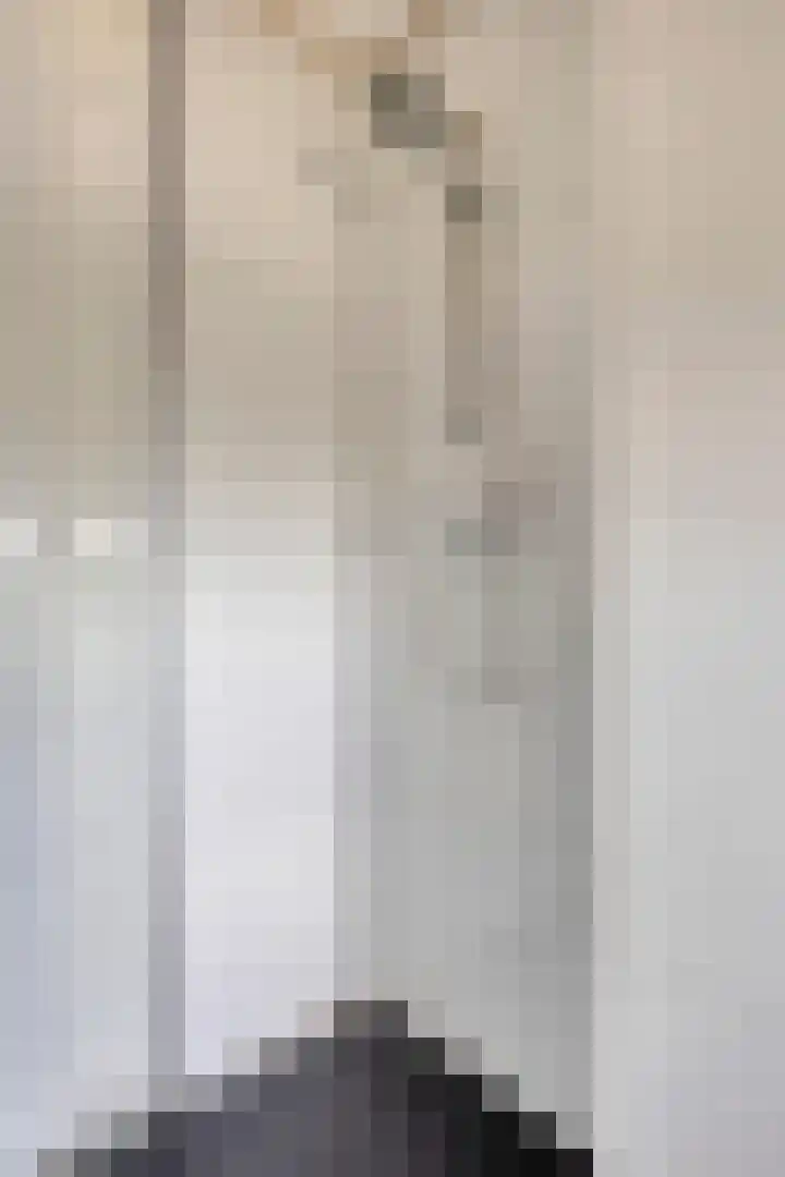 Zilvermeeuw 34 Zoutelande thumbnail 44