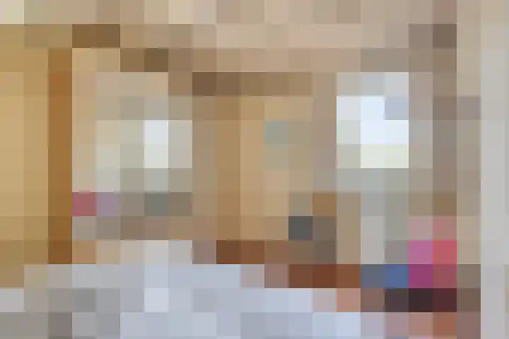 Zilvermeeuw 34 Zoutelande thumbnail 46