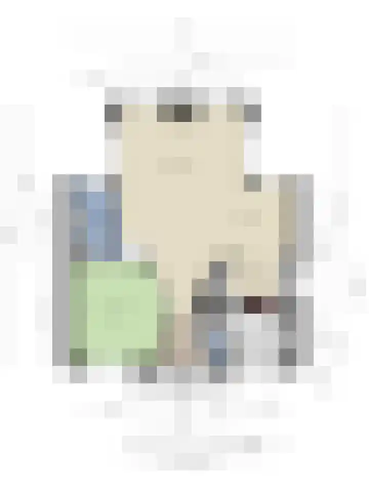 Zilvermeeuw 34 Zoutelande thumbnail 48