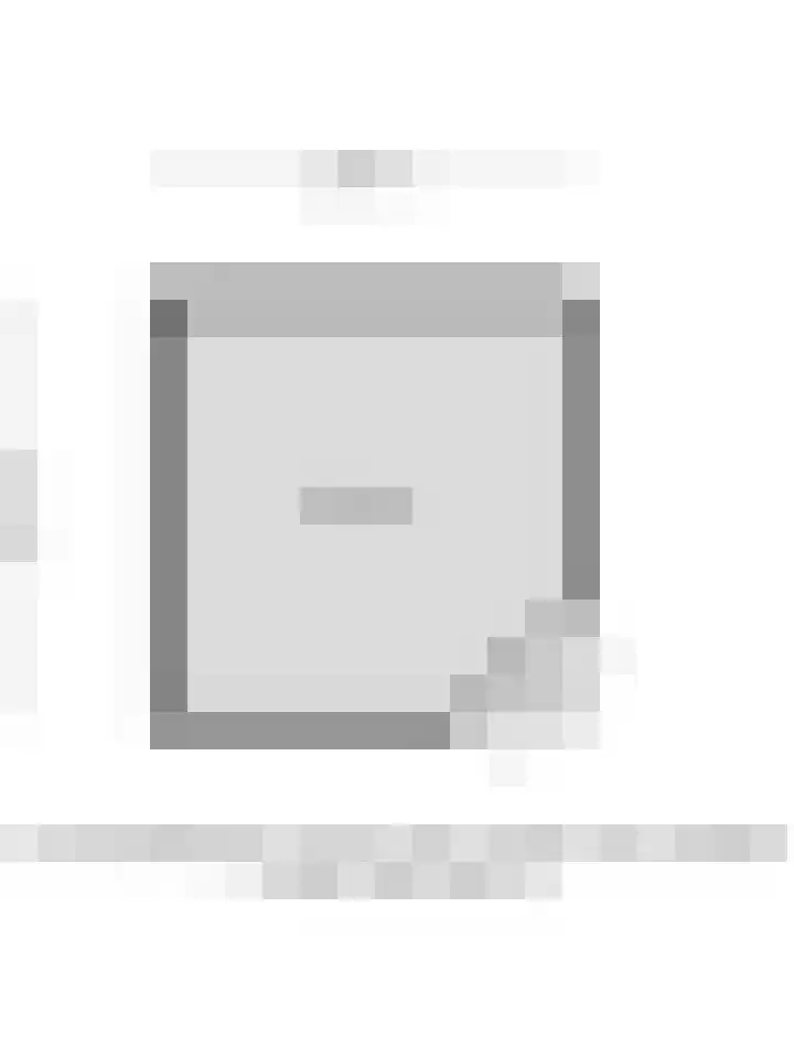 Zilvermeeuw 34 Zoutelande thumbnail 50