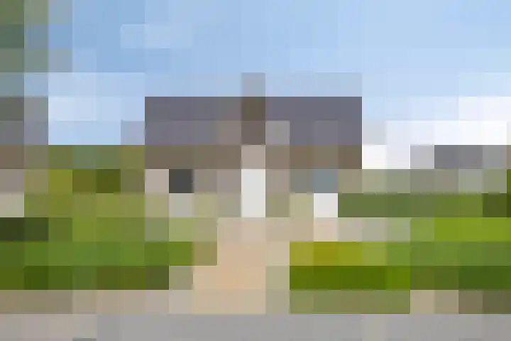Zilvermeeuw 34 Zoutelande thumbnail 6